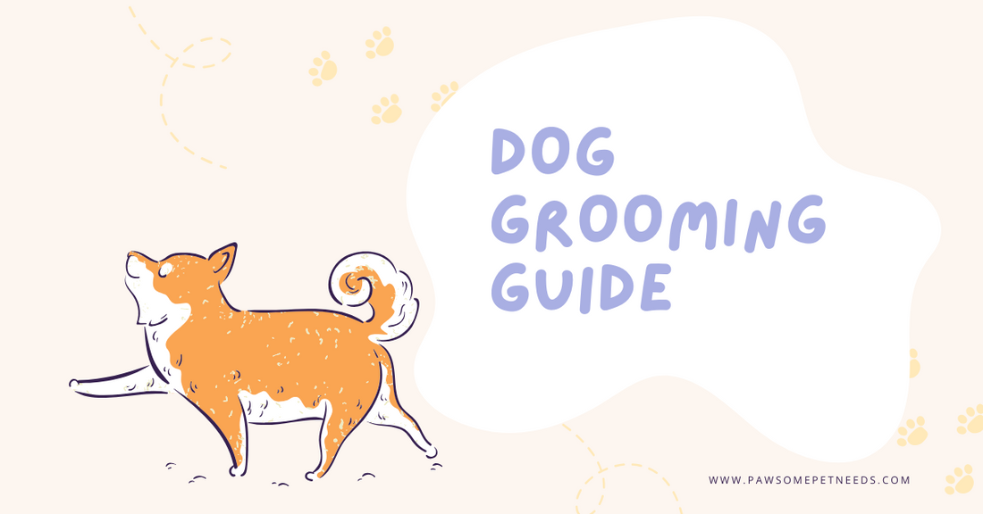 The Ultimate Guide to Dog Grooming & Hygiene: Keep Your Pup Healthy &amp; Happy