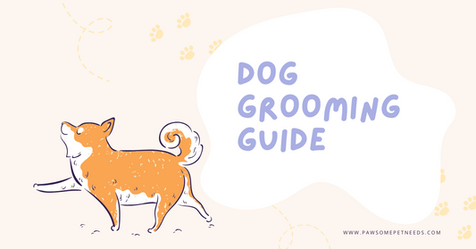 The Ultimate Guide to Dog Grooming & Hygiene: Keep Your Pup Healthy &amp; Happy