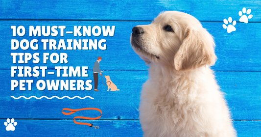 10 Must-Know Dog Training Tips for First-Time Pet Owners