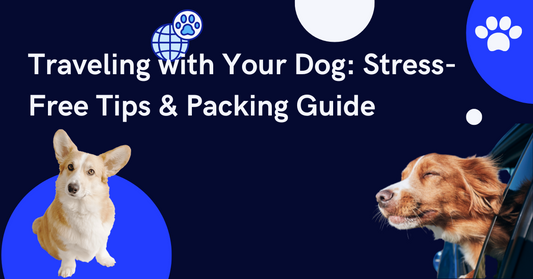 🐶✈️ How to Travel with Your Dog: The Ultimate Guide for Stress-Free Adventures