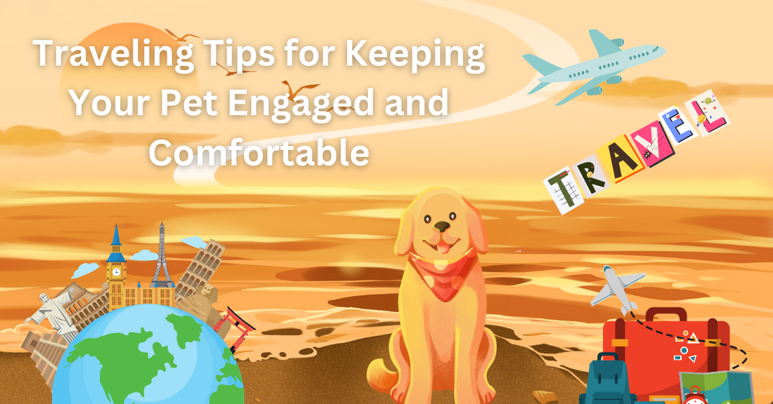 How to Keep Your Dog Happy and Engaged While Traveling