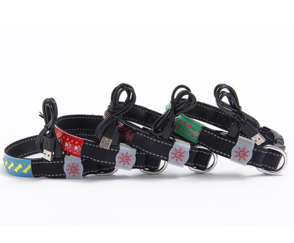 LED Light Dog Collar – Rechargeable and Adjustable Pet Safety Collar - Pawsome Pet Needs