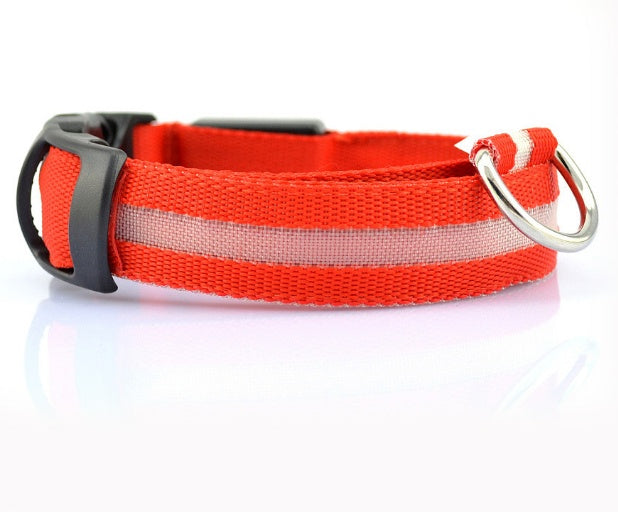 Dog LED Collar – Enhanced Visibility for Night Walks - Pawsome Pet Needs