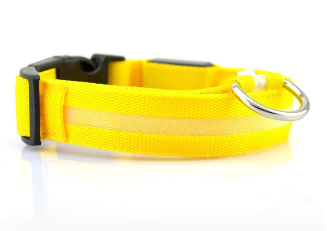 Dog LED Collar – Enhanced Visibility for Night Walks - Pawsome Pet Needs