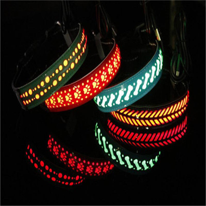 LED Light Dog Collar – Rechargeable and Adjustable Pet Safety Collar - Pawsome Pet Needs