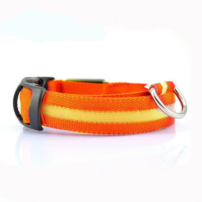 Dog LED Collar – Enhanced Visibility for Night Walks - Pawsome Pet Needs