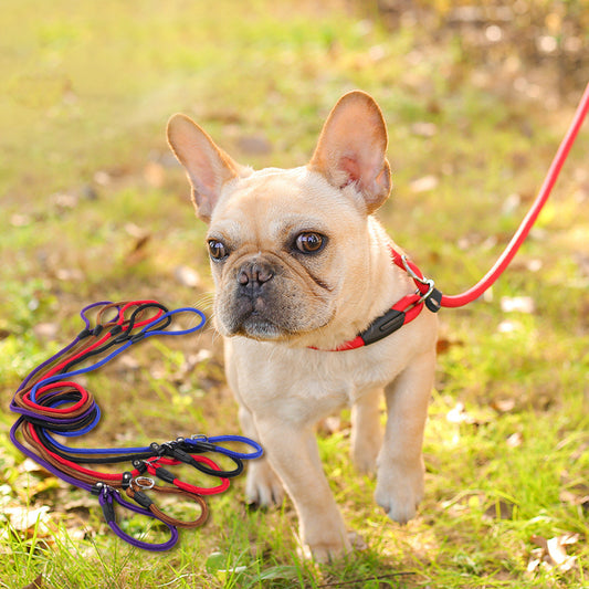 Durable Nylon Dog Leash – Strong and Reliable Pet Lead - Pawsome Pet Needs