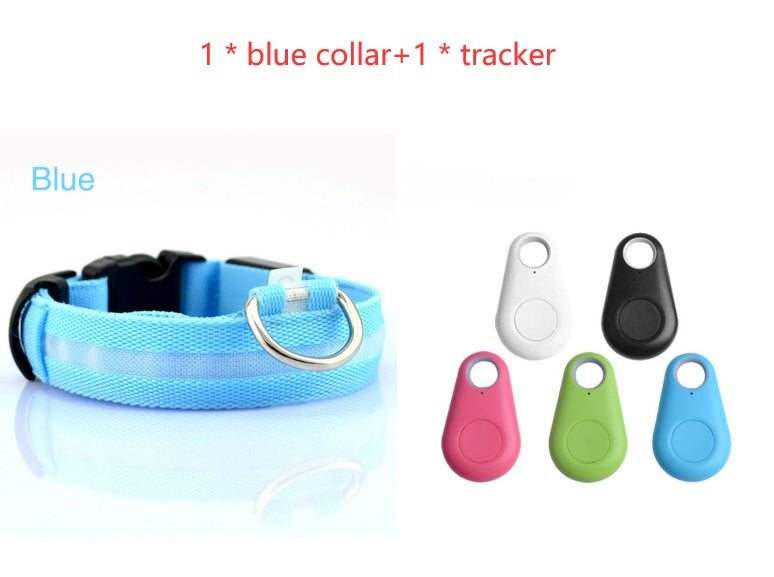 Dog Safety LED Collar - Pawsome Pet Needs