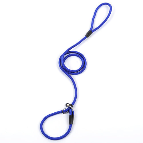 Durable Nylon Dog Leash – Strong and Reliable Pet Lead - Pawsome Pet Needs