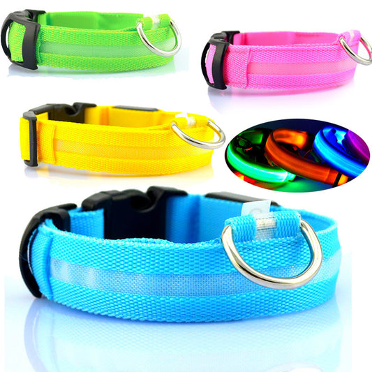 Dog Safety LED Collar - Pawsome Pet Needs