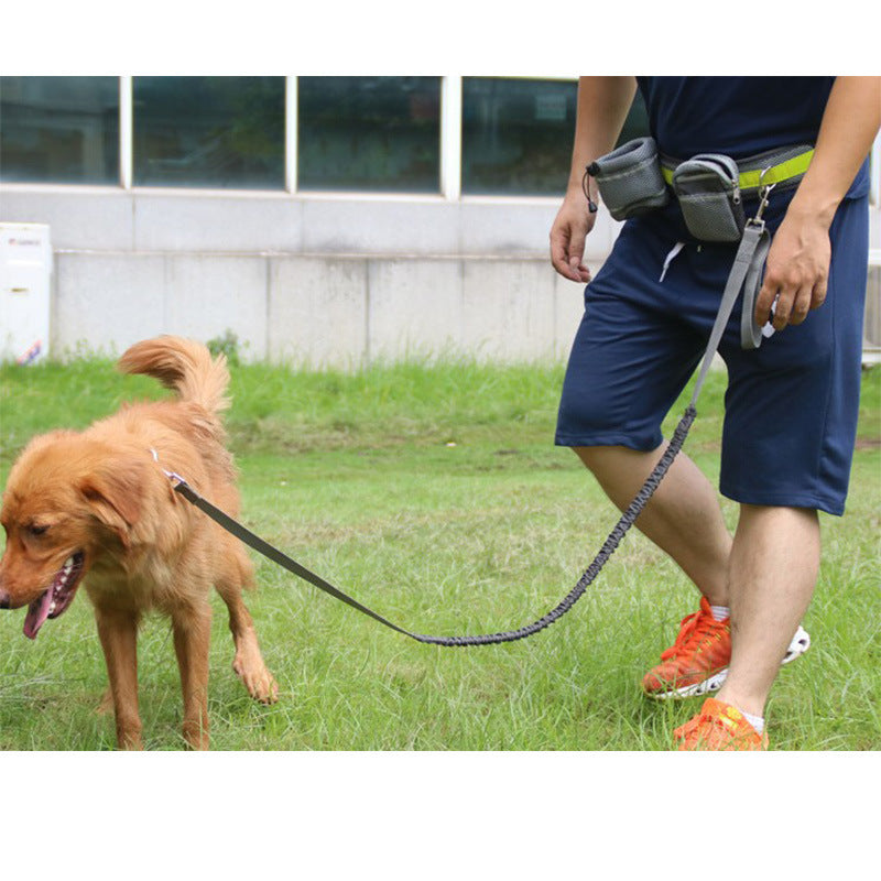 Adjustable Hands-Free Dog Leash – Perfect for Active Lifestyles - Pawsome Pet Needs