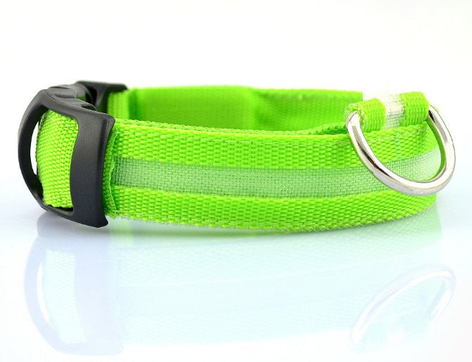 Dog LED Collar – Enhanced Visibility for Night Walks - Pawsome Pet Needs