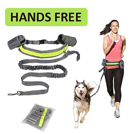 Adjustable Hands-Free Dog Leash – Perfect for Active Lifestyles - Pawsome Pet Needs