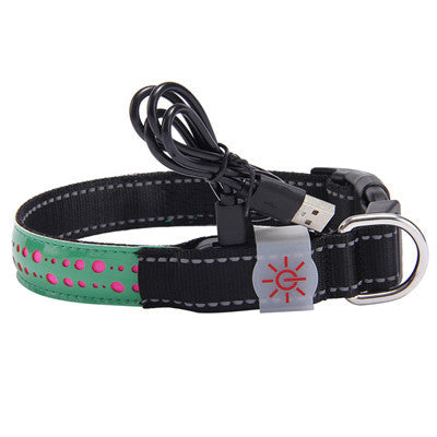 LED Light Dog Collar – Rechargeable and Adjustable Pet Safety Collar - Pawsome Pet Needs