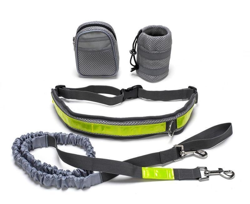 Adjustable Hands-Free Dog Leash – Perfect for Active Lifestyles - Pawsome Pet Needs