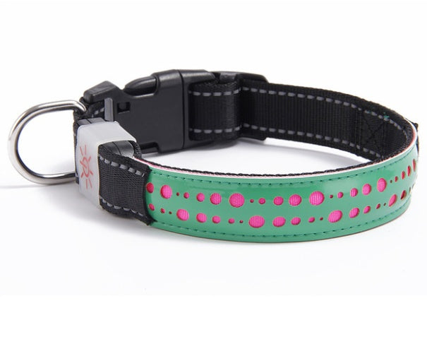 LED Light Dog Collar – Rechargeable and Adjustable Pet Safety Collar - Pawsome Pet Needs