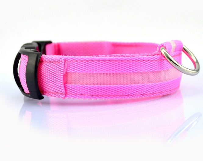 Dog LED Collar – Enhanced Visibility for Night Walks - Pawsome Pet Needs