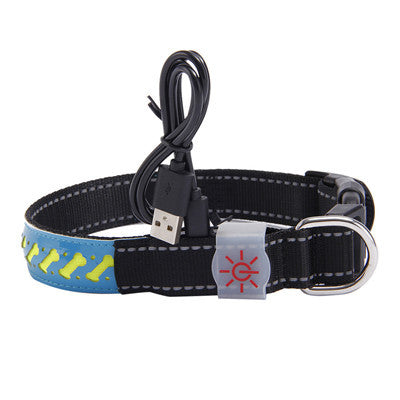 LED Light Dog Collar – Rechargeable and Adjustable Pet Safety Collar - Pawsome Pet Needs