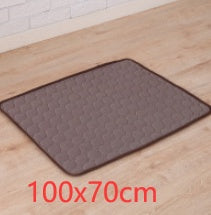 Pet Cooling Mat for Dogs – Ice Silk Summer Pad - Pawsome Pet Needs