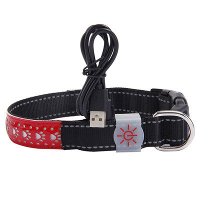 LED Light Dog Collar – Rechargeable and Adjustable Pet Safety Collar - Pawsome Pet Needs