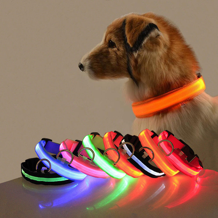 Dog LED Collar – Enhanced Visibility for Night Walks - Pawsome Pet Needs