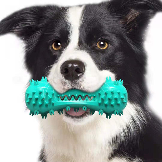 Durable Rubber Molar Stick – Dental Chew Toy for Aggressive Dogs - Pawsome Pet Needs