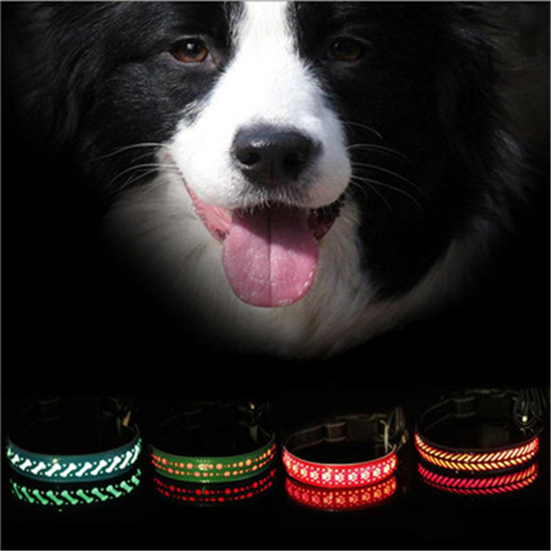 LED Light Dog Collar – Rechargeable and Adjustable Pet Safety Collar - Pawsome Pet Needs