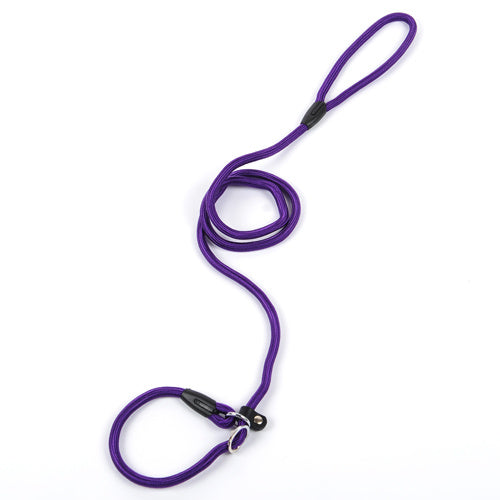 Durable Nylon Dog Leash – Strong and Reliable Pet Lead - Pawsome Pet Needs