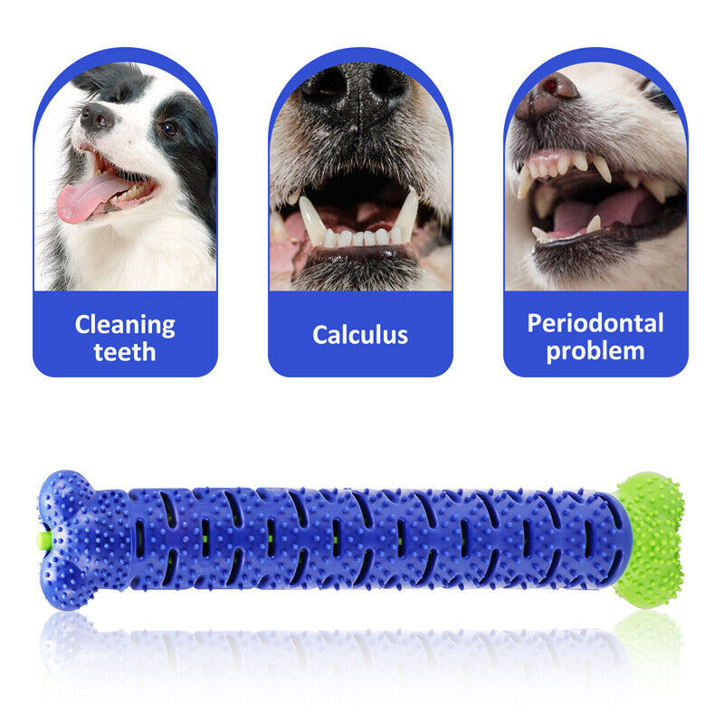 Durable TPR Dog Toothbrush Chew Toy – Dental Care and Play - Pawsome Pet Needs