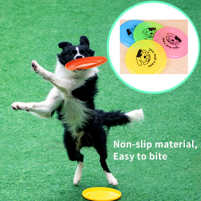 Interactive Outdoor Dog Training Toy – Durable and Fun - Pawsome Pet Needs